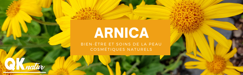 qknatur arnica montana bien-être et soins de la peau cosmétiques naturels huile pour massage
