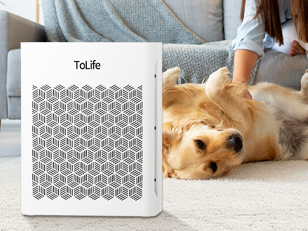 air purifiers for home