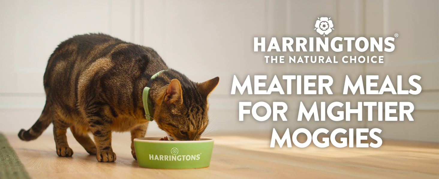 meatier