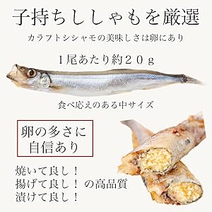 子持ちししゃも マルハニチロ 子持ち からふと ししゃも 3Lサイズ