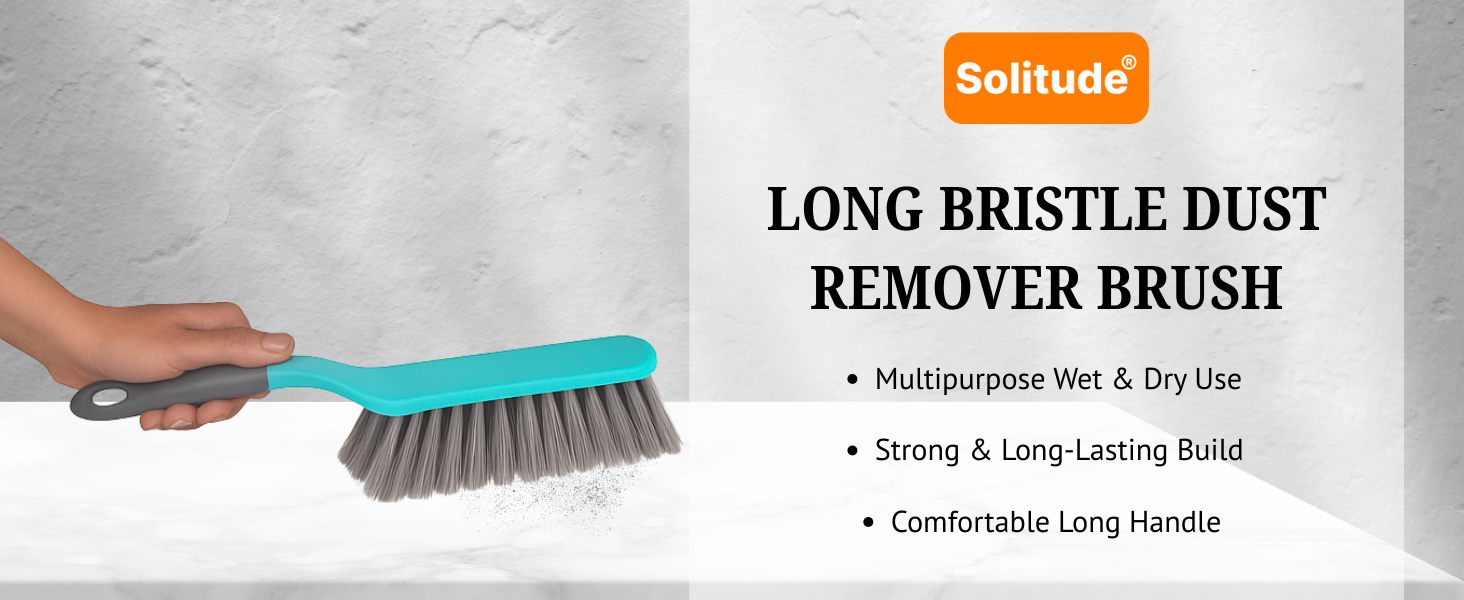 Dust Remover Brush