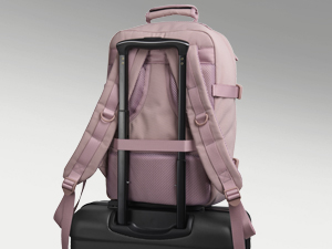 rear trolley strap