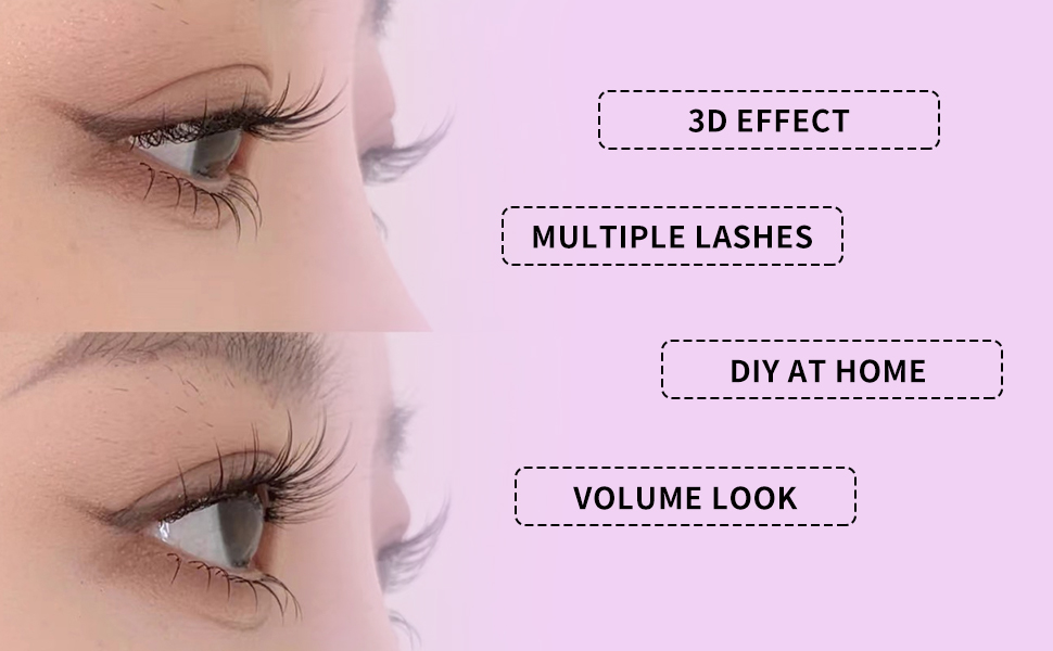 lash cluster