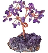 Rockcloud Natural Crystal Tree Stones Chips Money Tree with Amethyst Base Home Decoration for Wea...