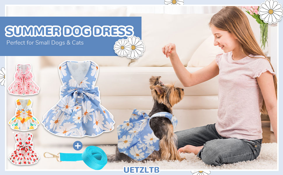 UETZLTB Small Dog Harness Dress and Leash Set Cute Bowknot