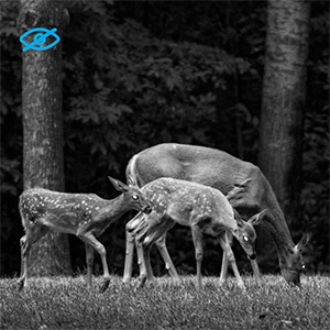 Small manufacture image 5