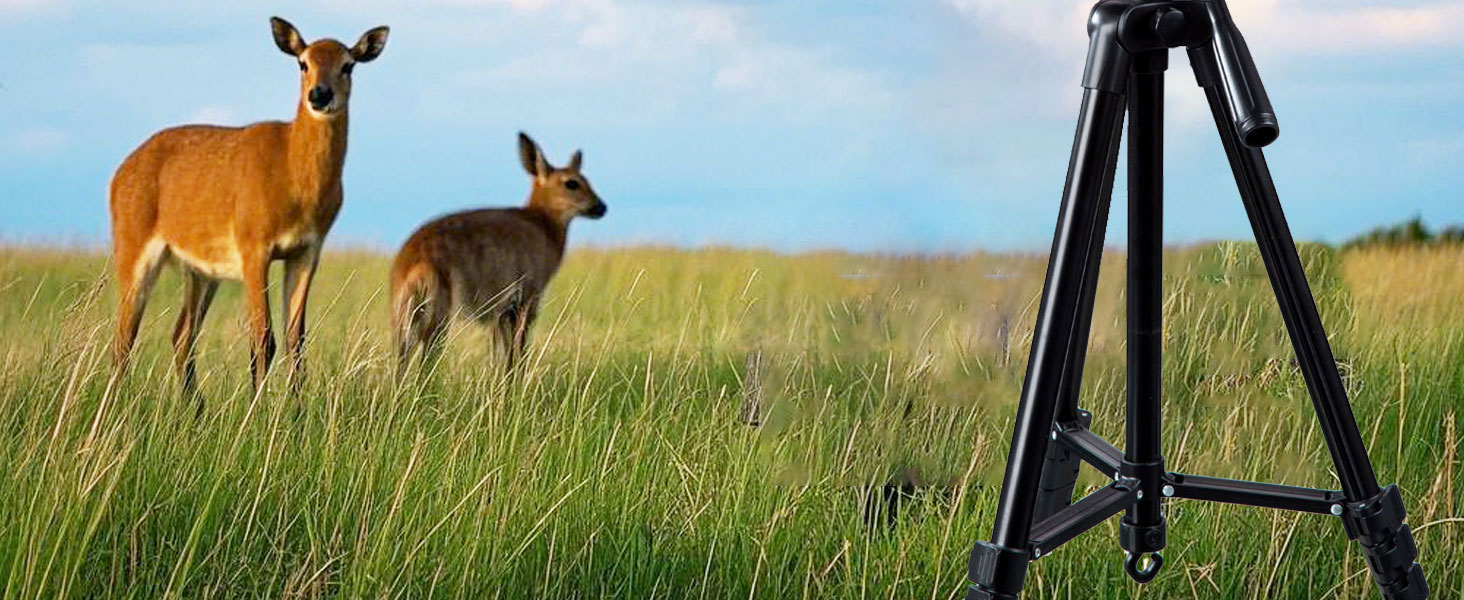 Outdoor Waterproof Binoculars for Bird Watching Travel Stargazing