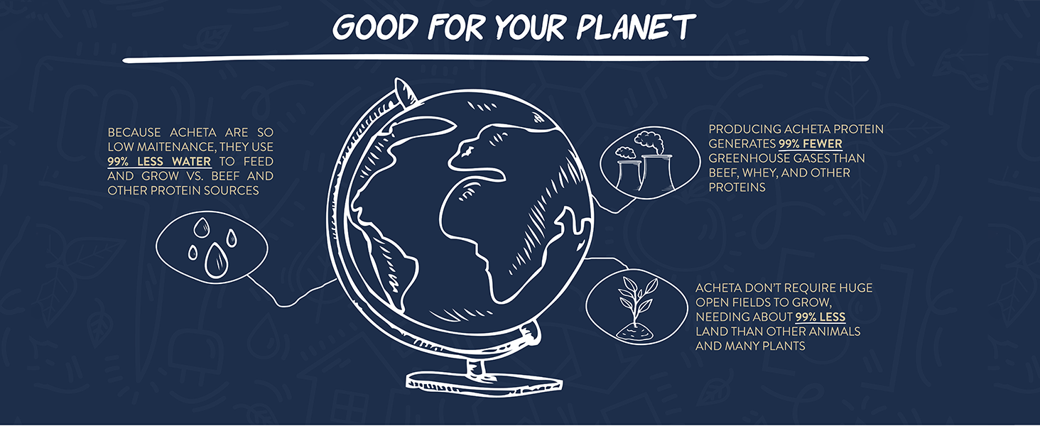 Globe Doodle with Sustainability Facts