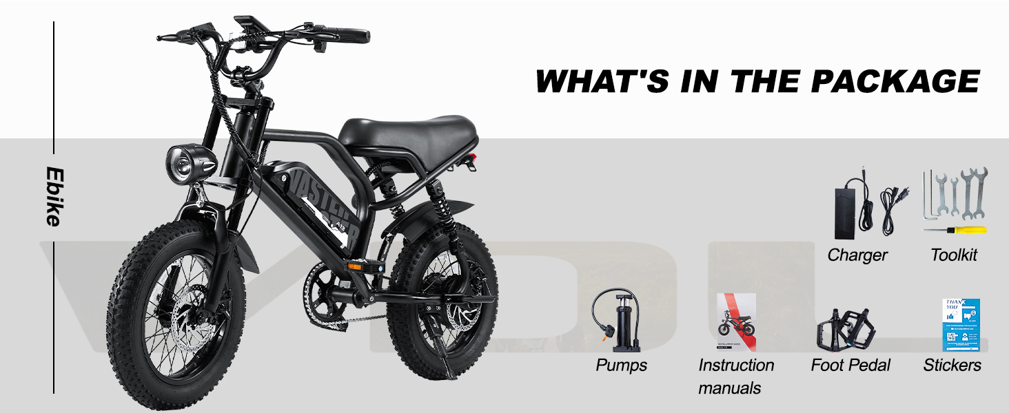 ebike