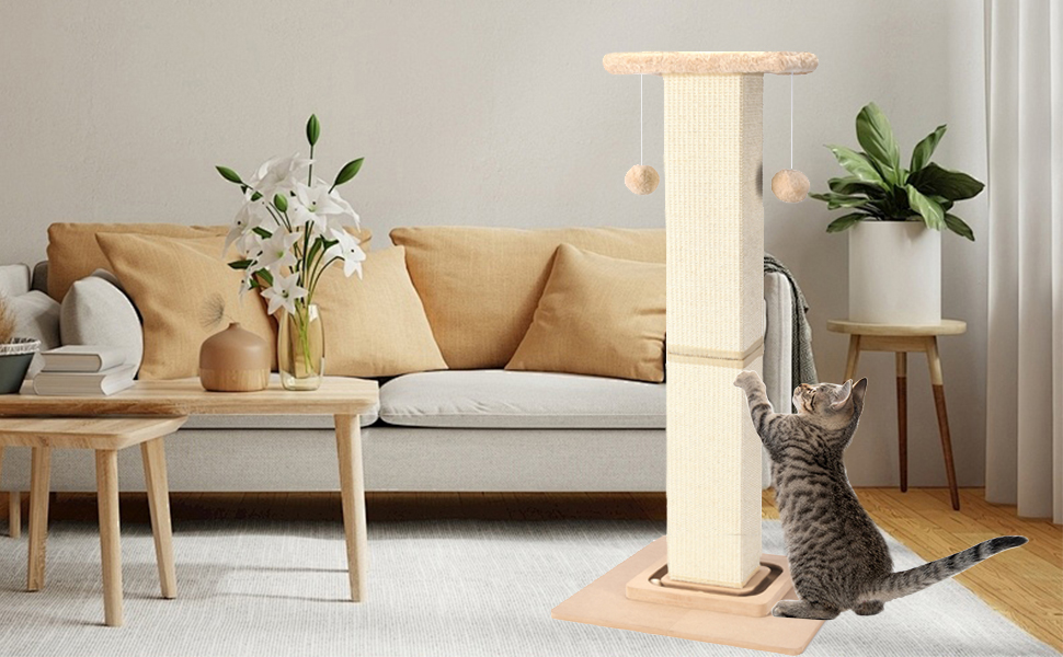 Cat Scratching Post A+3