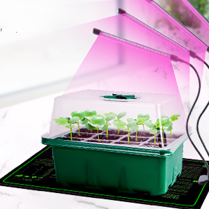 plant starter kit