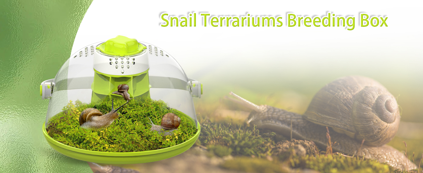 Snail Terrariums Breeding Box