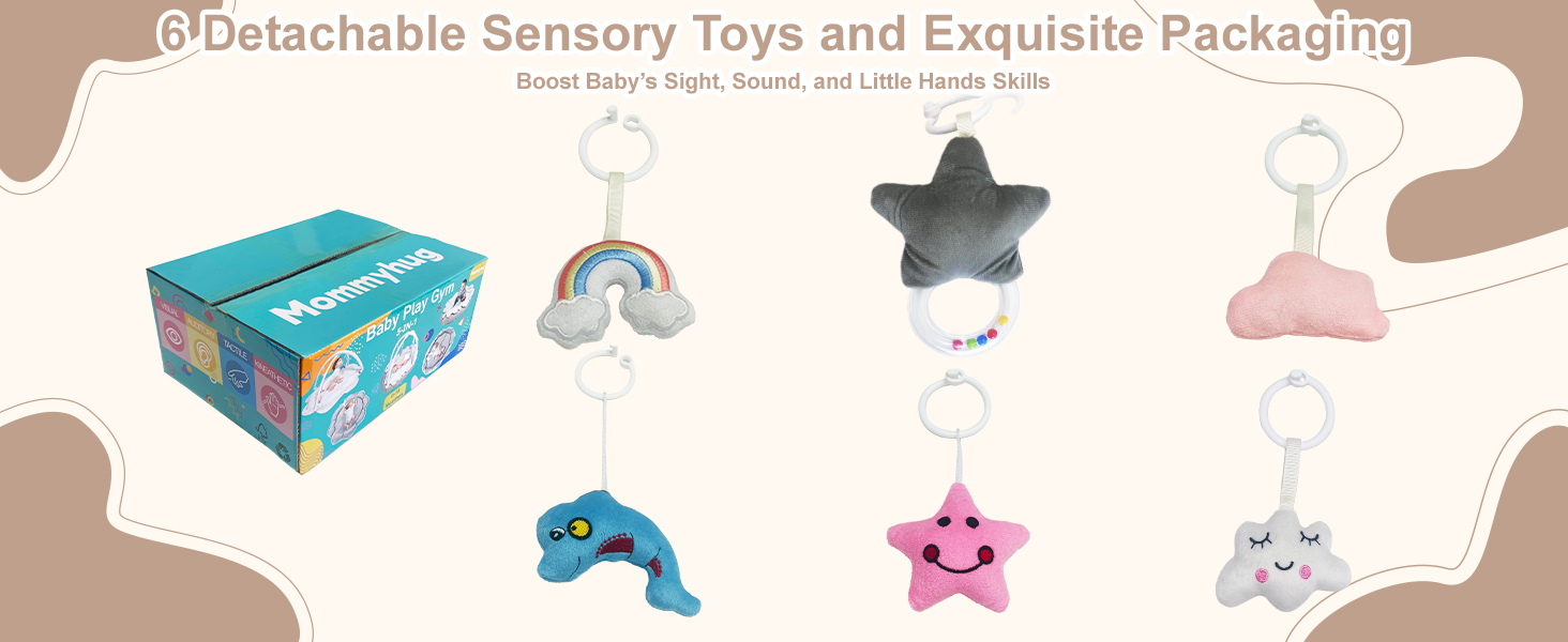 6 Detachable Sensory Toys and Exquisite Rackaging