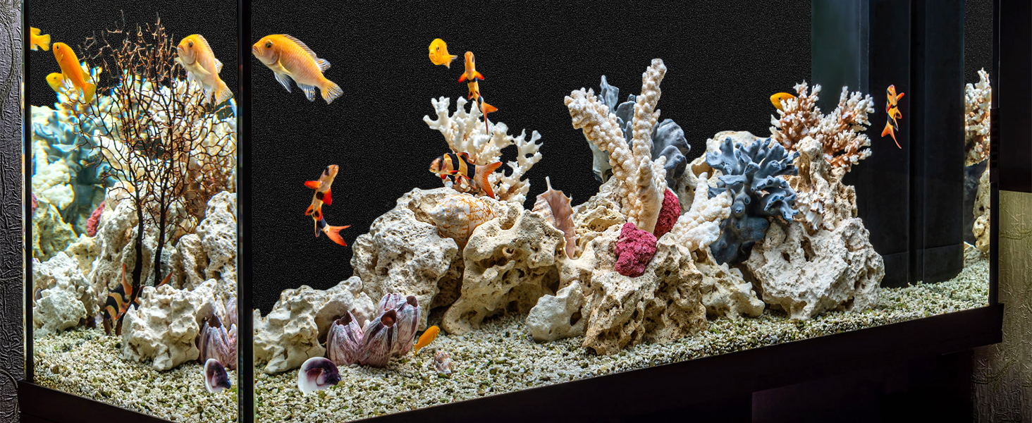 Fish Tank