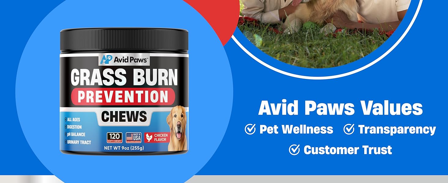 grass savers for dog urine dog rocks dog rocks for urine burning grass