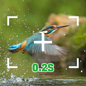 a bird flying through the air with a camera lens