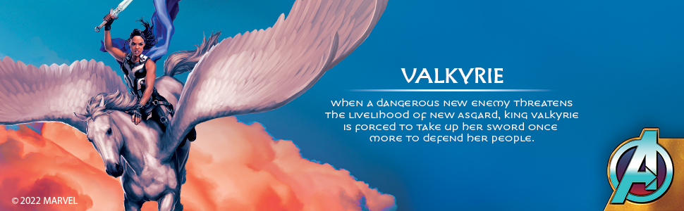 Valkyrie Bio Banner