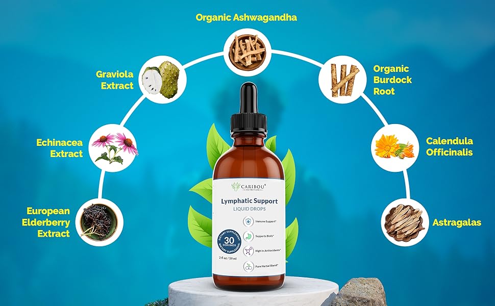 Amazon.com: Caribou Nutrition Lymphatic Drainage Drops - Lymphatic - Lymphatic Drainage Drops For Weight Loss