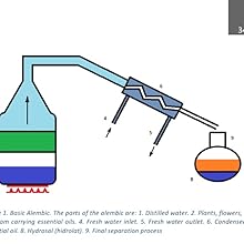 basic alembic, distilled water, condenser, hydrosol, hydrolat, essential oil
