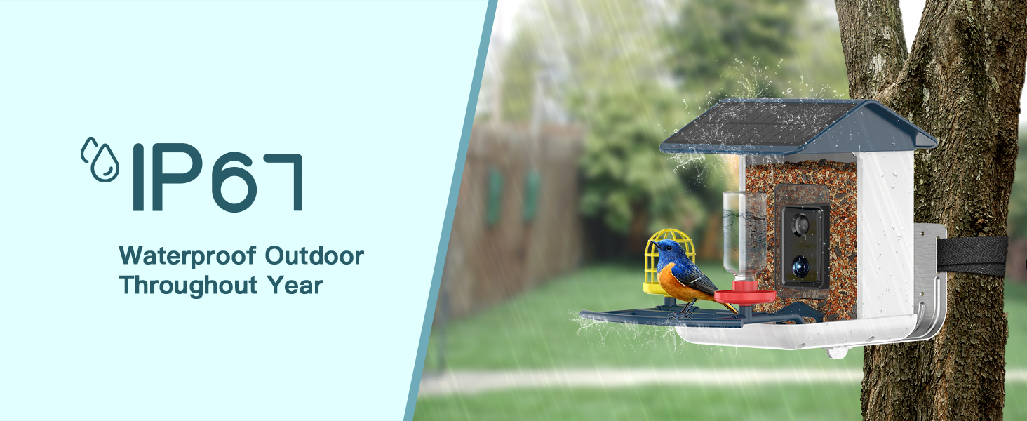 bird feeders with camera