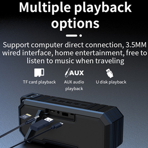 Multiple playback options