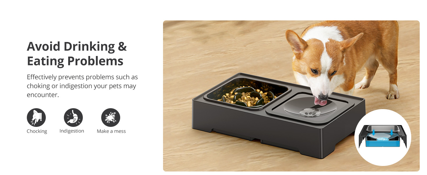 Petace Raised Slow Feeder Dog Bowls, Elevated Dog Bowl with 4 Heights