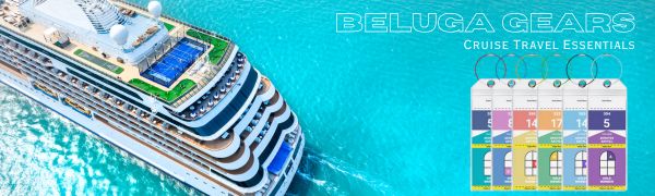 cruise luggage tags small only