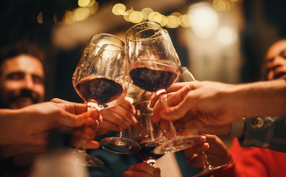 Wine Chiller, 3in1 Stainless Steel Wine Chiller Rapid