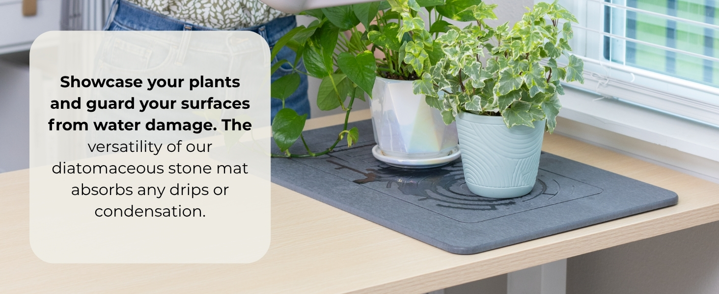 Indoor water plant pads