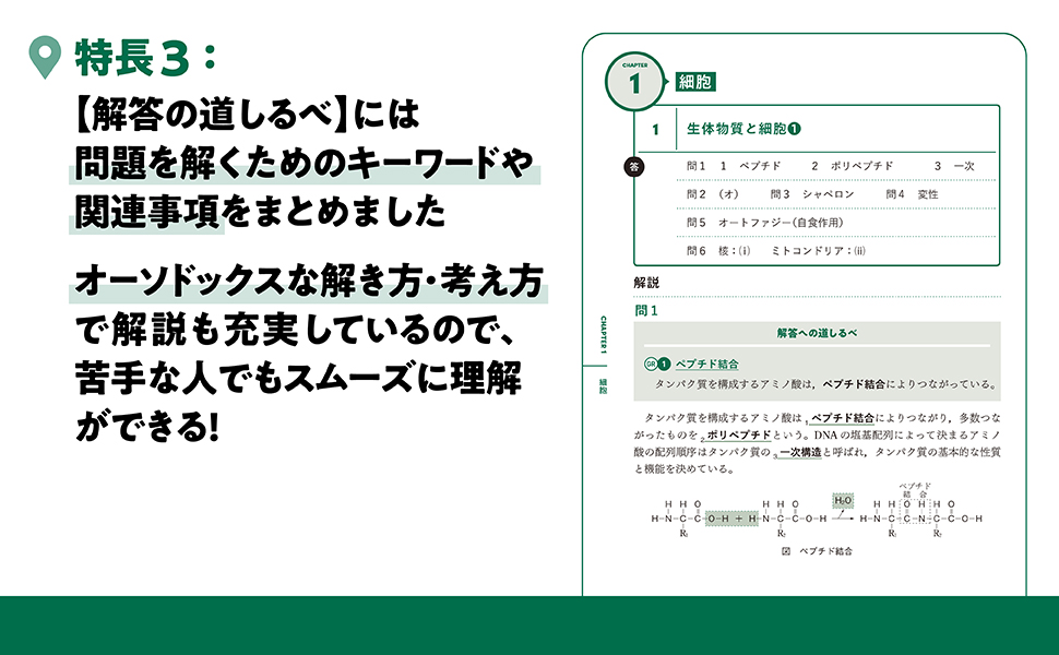 大学入試問題集 ゴールデンルート 生物[生物基礎・生物] 基礎編