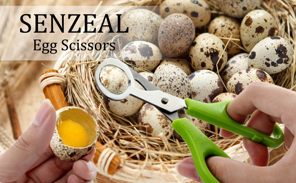Senzeal 2PCS Quail Egg Shell Cutters Scissors Small Quail
