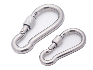 Stainless Steel Safety Buckles