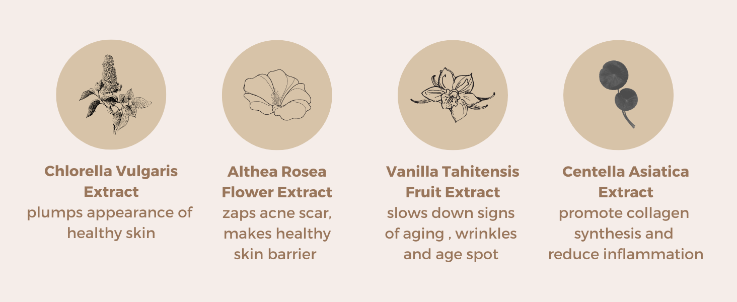Laboshe sungel key ingredients