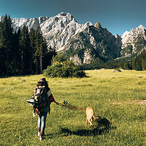 paw washer for large dogs