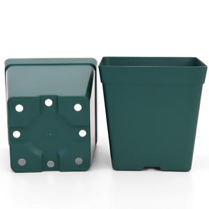 June Fox 100 Pack Green Square Nursery Pots