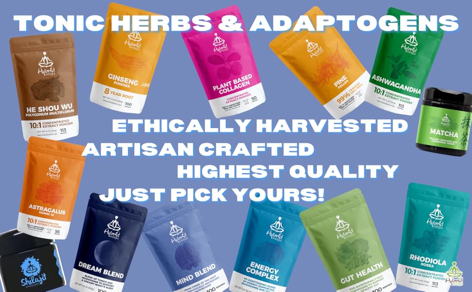 HYBRID HERBS Mind Blend 10X Strength Nootropic Brain Supplement for