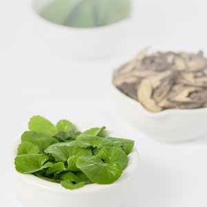 Small manufacture image 6