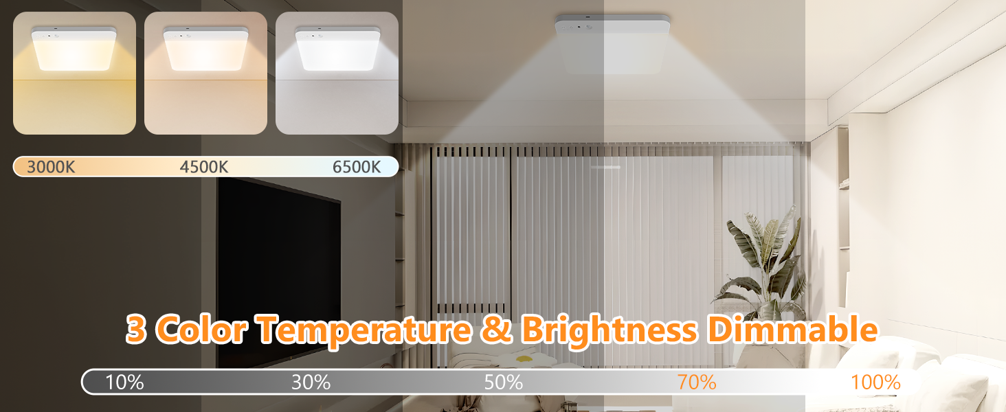 battery ceiling light