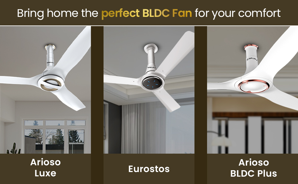 ceiling fan,fan,ceiling fans for home 5 star rating,ceiling fans,bldc fan,fans ceiling fans