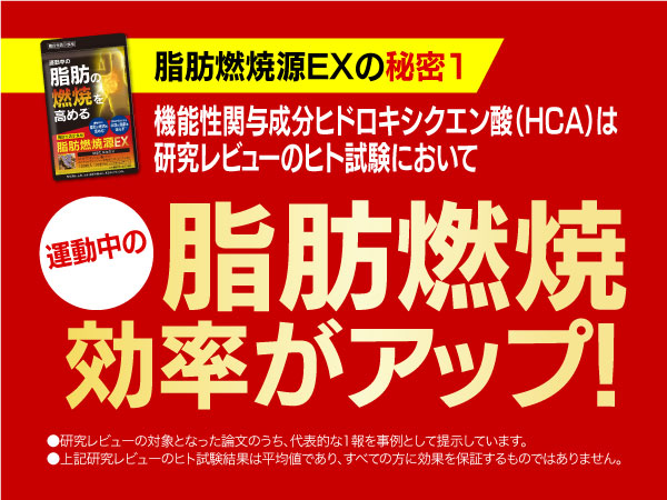 Amazon | 脂肪燃焼源 EX 120粒入り（30日分）運動中 の 脂肪燃焼