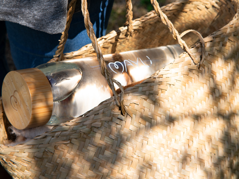 Container in bag