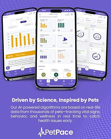 Smart Collar 2.0 by PetPace | AI-Powered Dog Health Monitor & GPS Tracker | Tracks