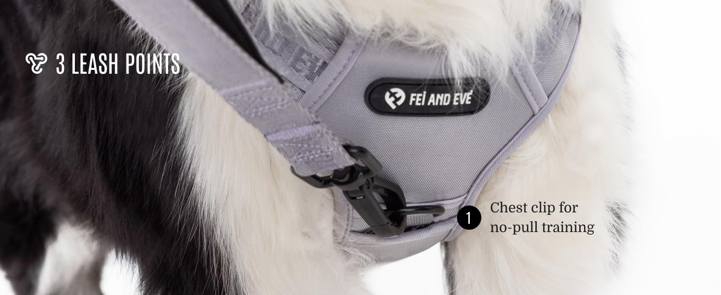 dog harness for large dogs