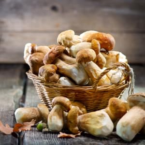 Small manufacture image 2