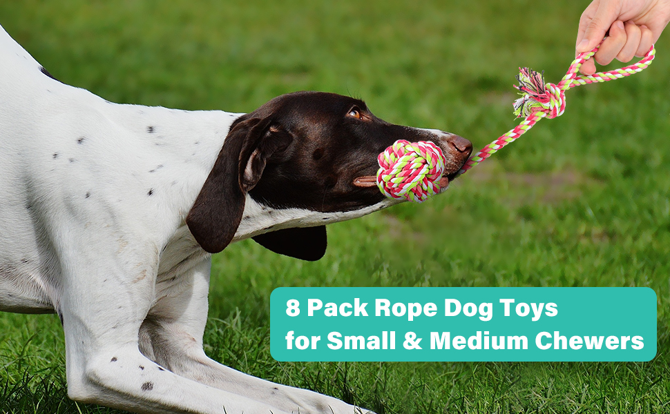 PLUTUS PET Dog Chew Toys for Aggressive Chewers, 8 pack Interactive Dog