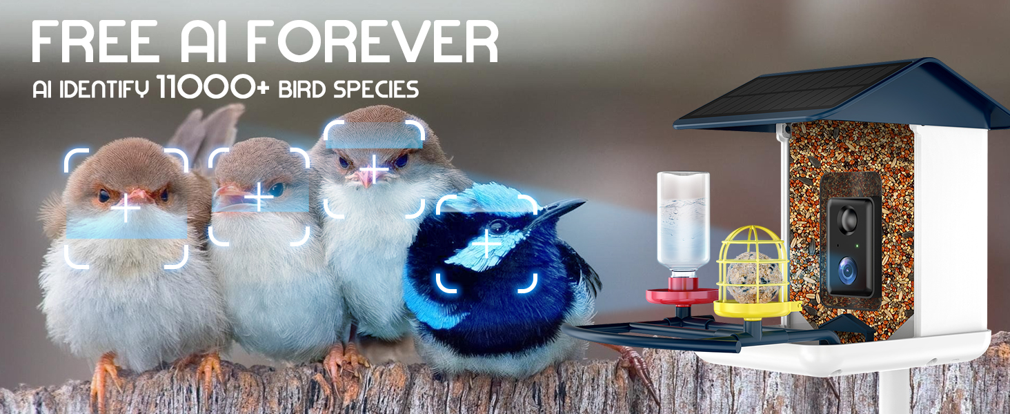 camera bird feeder for children