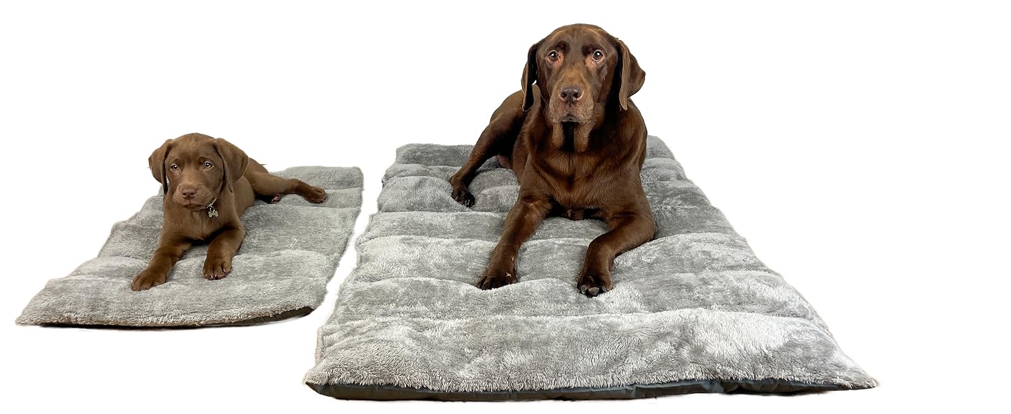 large and small dog bed image