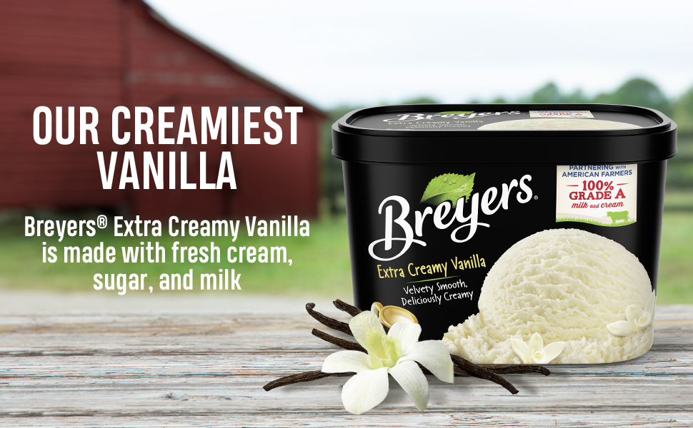 Breyers Frozen Dairy Dessert For a Delicious Frozen Treat