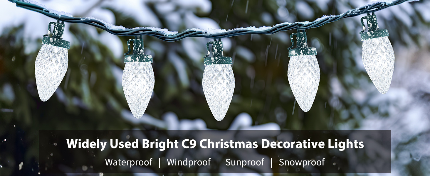 outdoor christmas lights for house