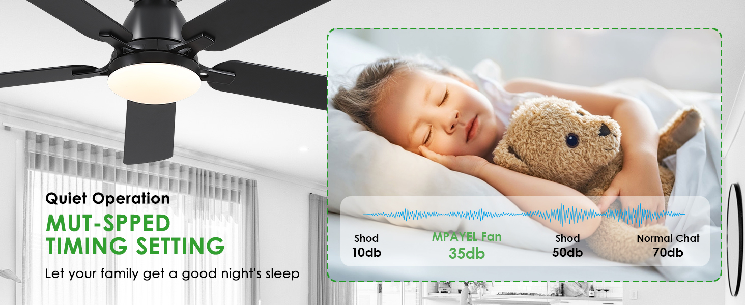 Ceiling Fans with Lights
